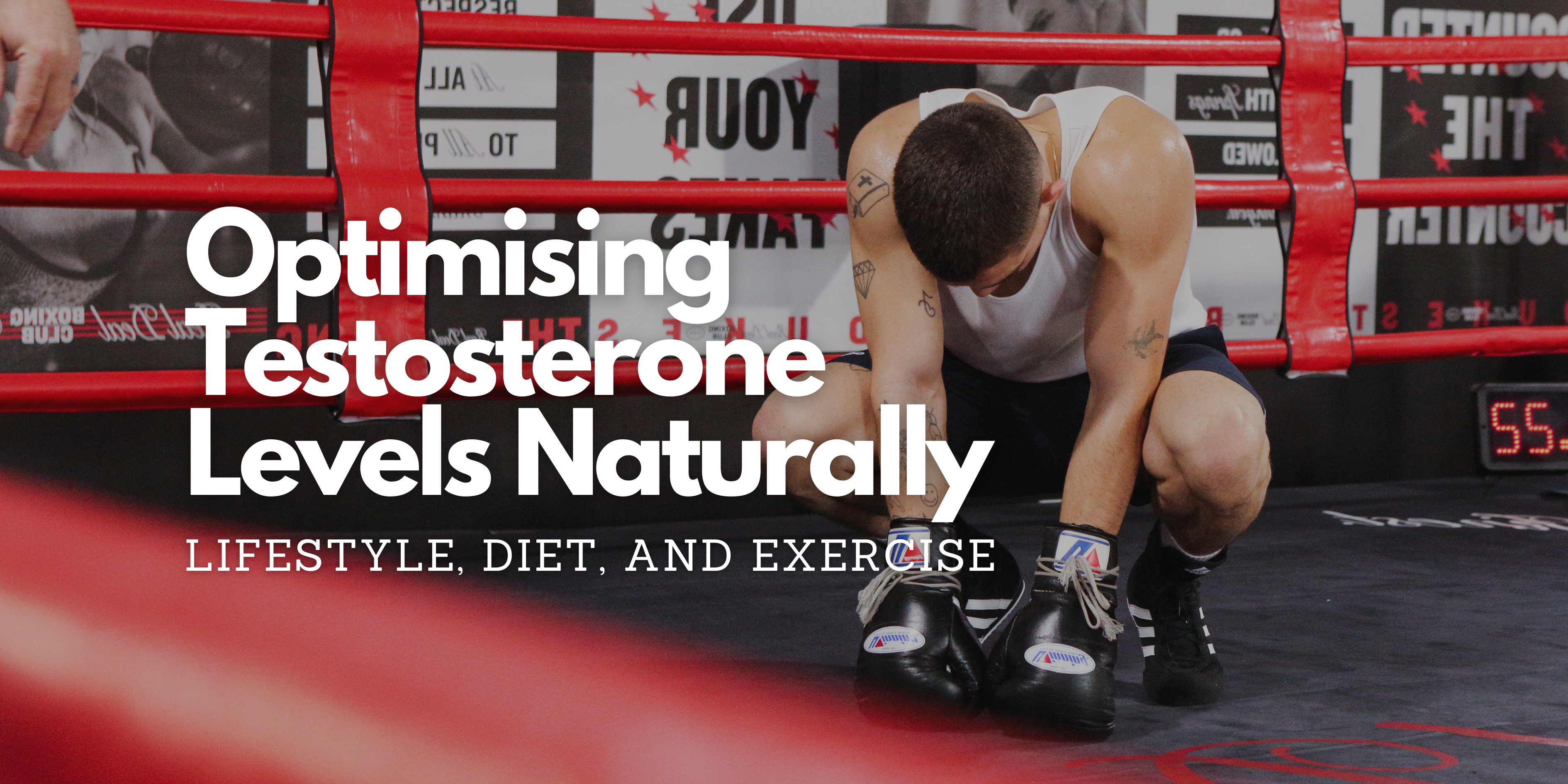 Optimising Testosterone Levels: Lifestyle, Diet, & Exercise  World Fitness