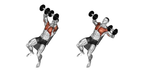 incline dumbbell chest press exercise targeting upper chest muscles