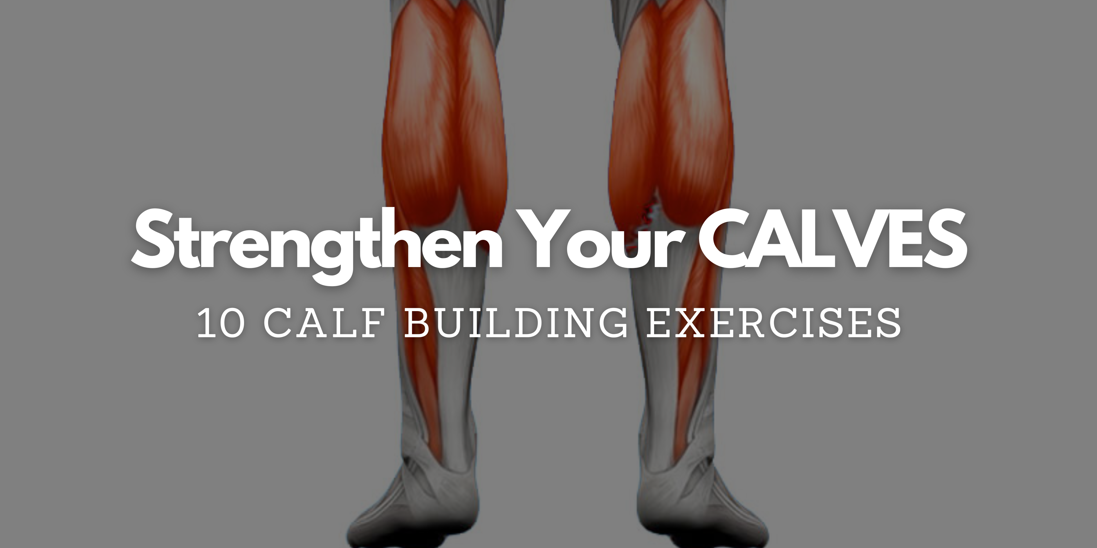 Calf Muscle Exercises For Women Leg Workouts: The 15 Best Leg