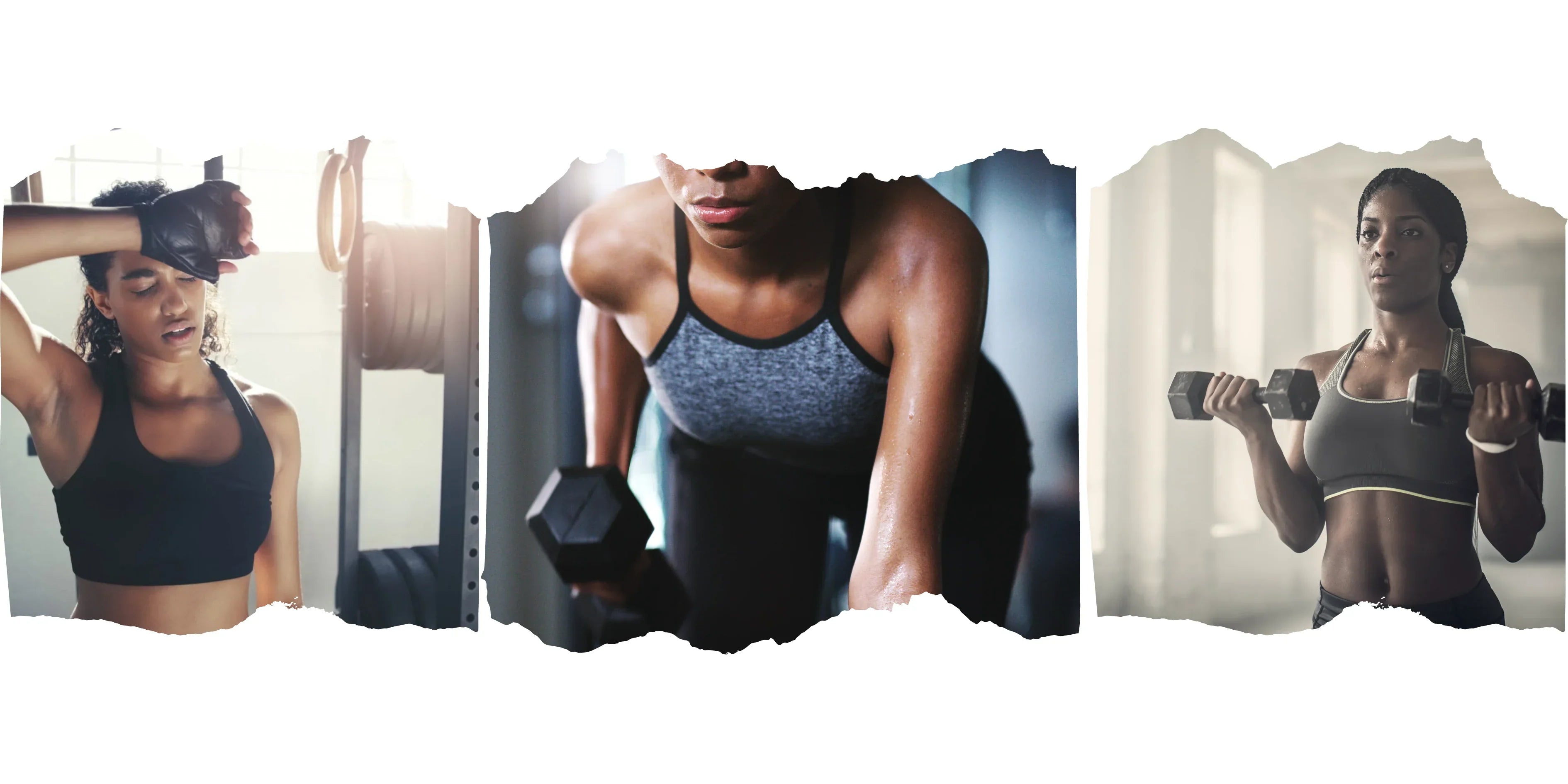 The Science of Strength Training: How Muscles Grow & Adapt – World Fitness