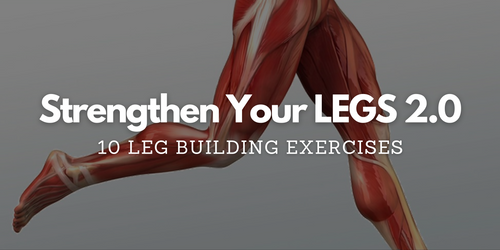 anatomical illustration of leg muscles with text strengthen your legs 2.0 and 10 leg building exercises