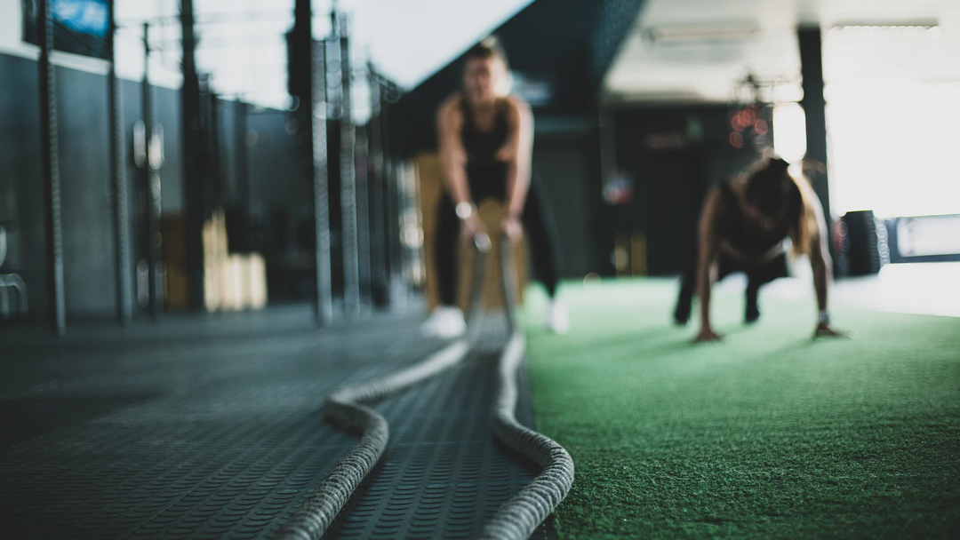 Gym Battle Ropes