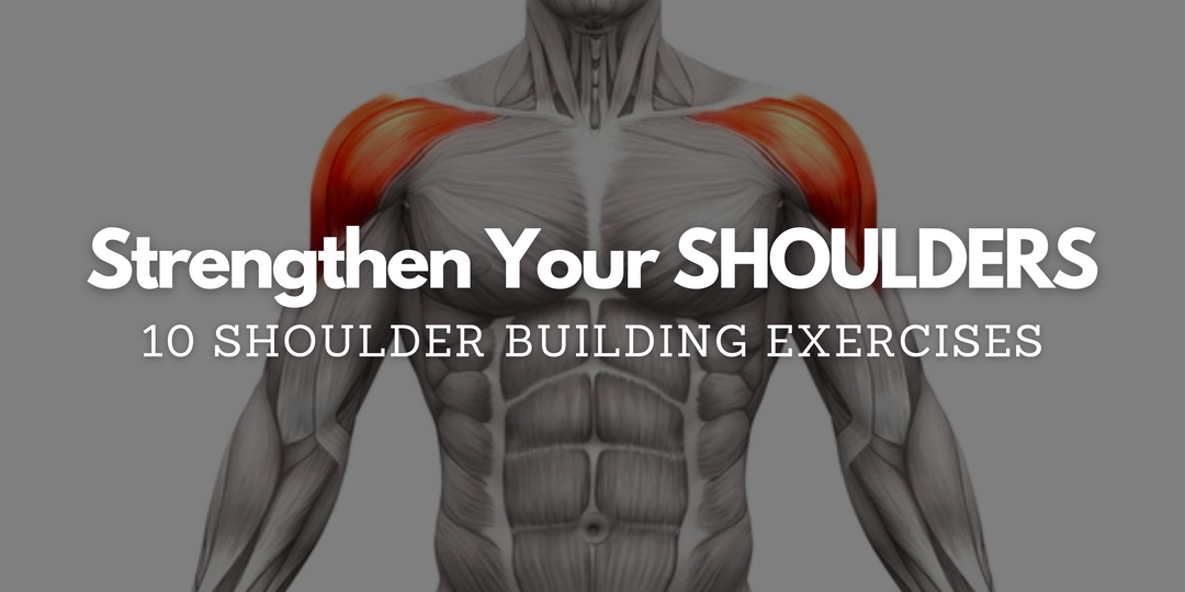 shoulder muscle anatomy with text strengthen your shoulders and 10 shoulder exercises