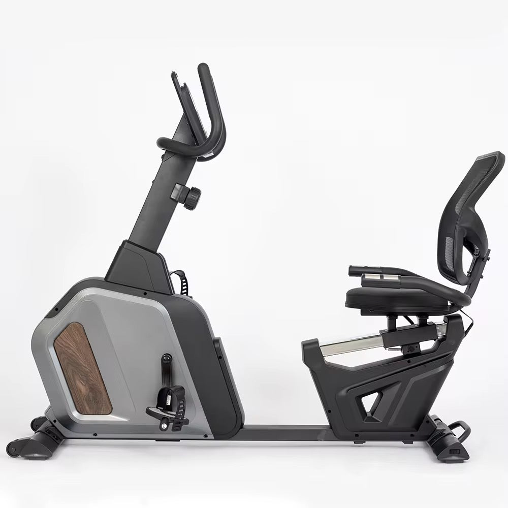 Body Iron Recumbent Bike TXM450
