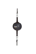 Everlast Everhide Floor To Ceiling Ball