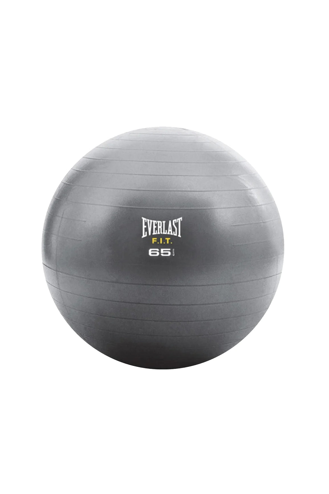 Everlast cheap exercise ball