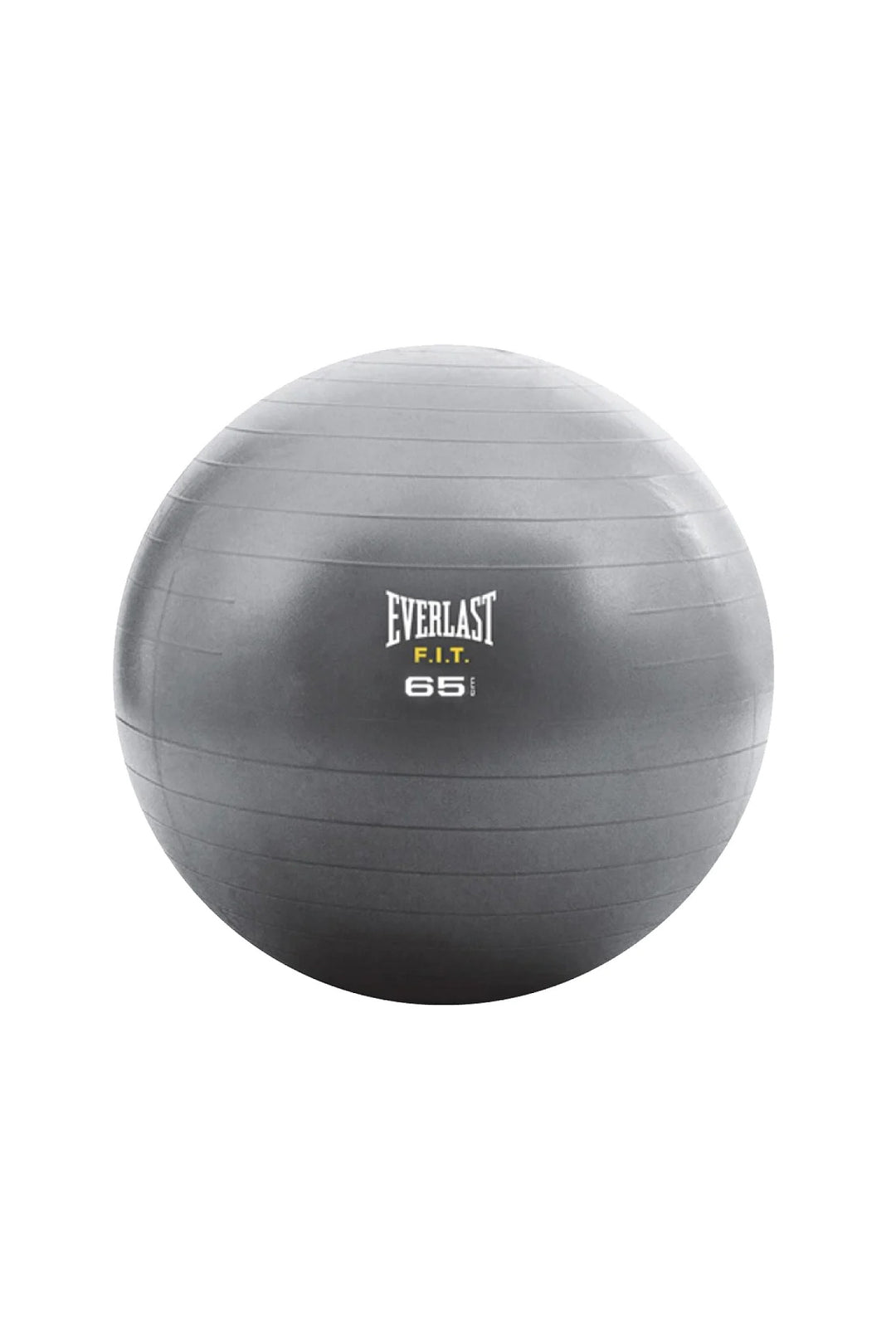 Large Fitball Everlast 65cm Fitball – World Fitness
