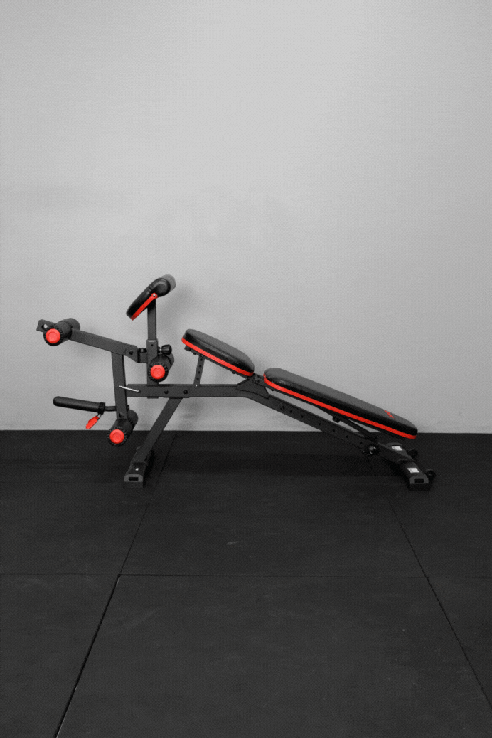 Body Iron Deluxe Leg/Preacher Curl Utility FID Bench UB250