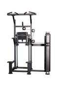 BodyIron® Commercial Elite Dip Chin Assist