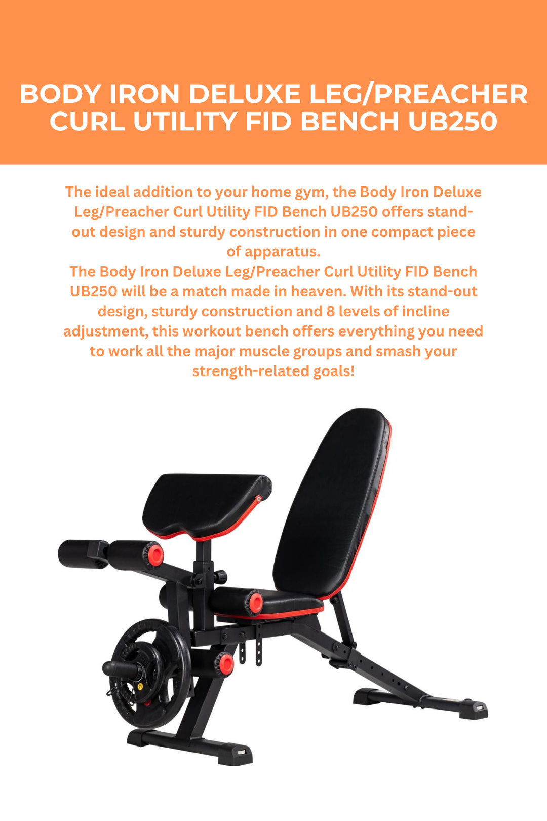 Body Iron Deluxe Leg/Preacher Curl Utility FID Bench UB250