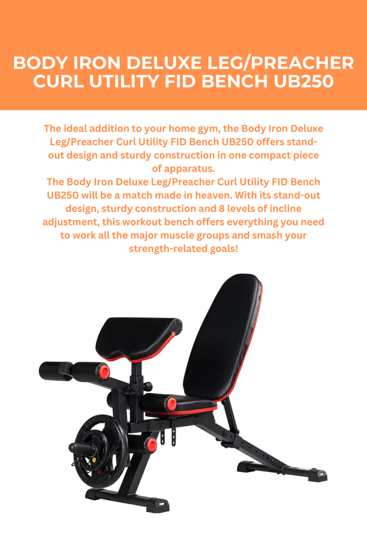 Body Iron Deluxe Leg/Preacher Curl Utility FID Bench UB250