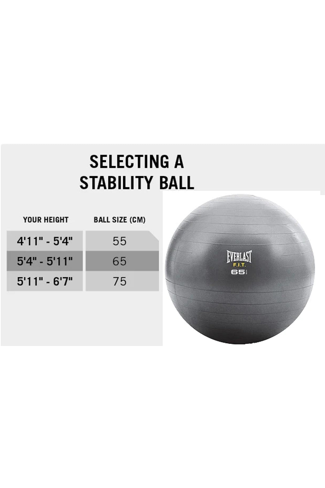 Large Fitball Everlast 55cm Fitball – World Fitness