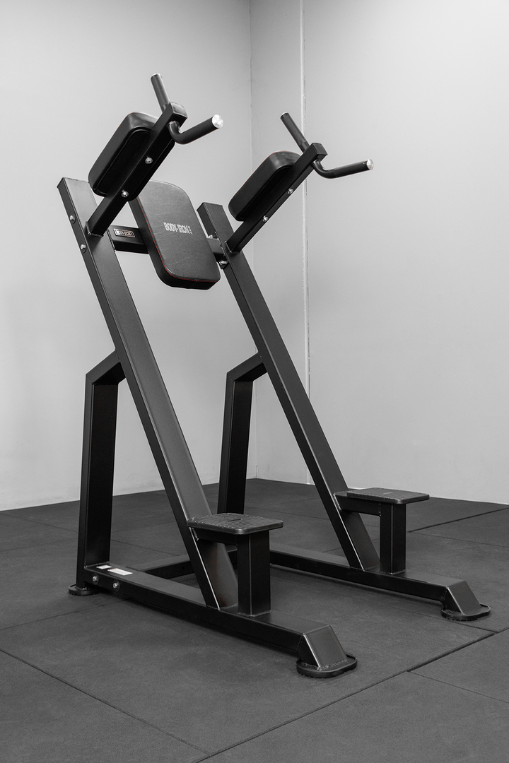 Body Iron Commercial Pro Knee Raise Dip Station