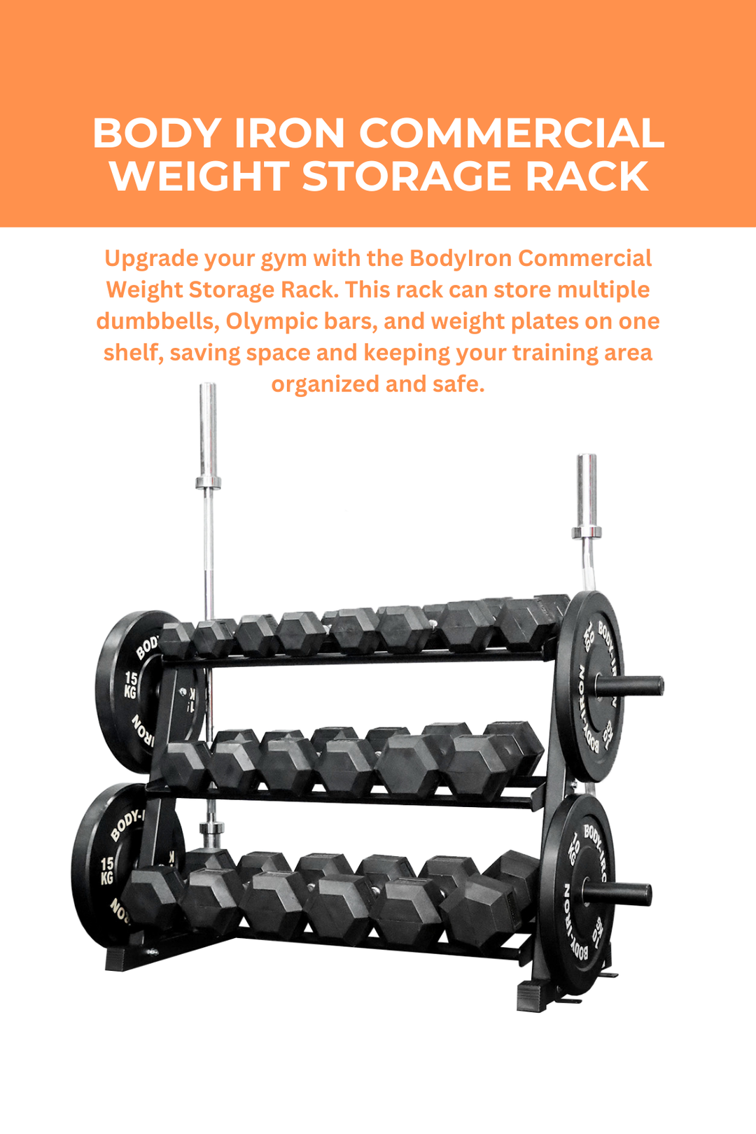 Built Inweight Rach Storage Weight Storage Rack | BodyIron Commercial – World Fitness