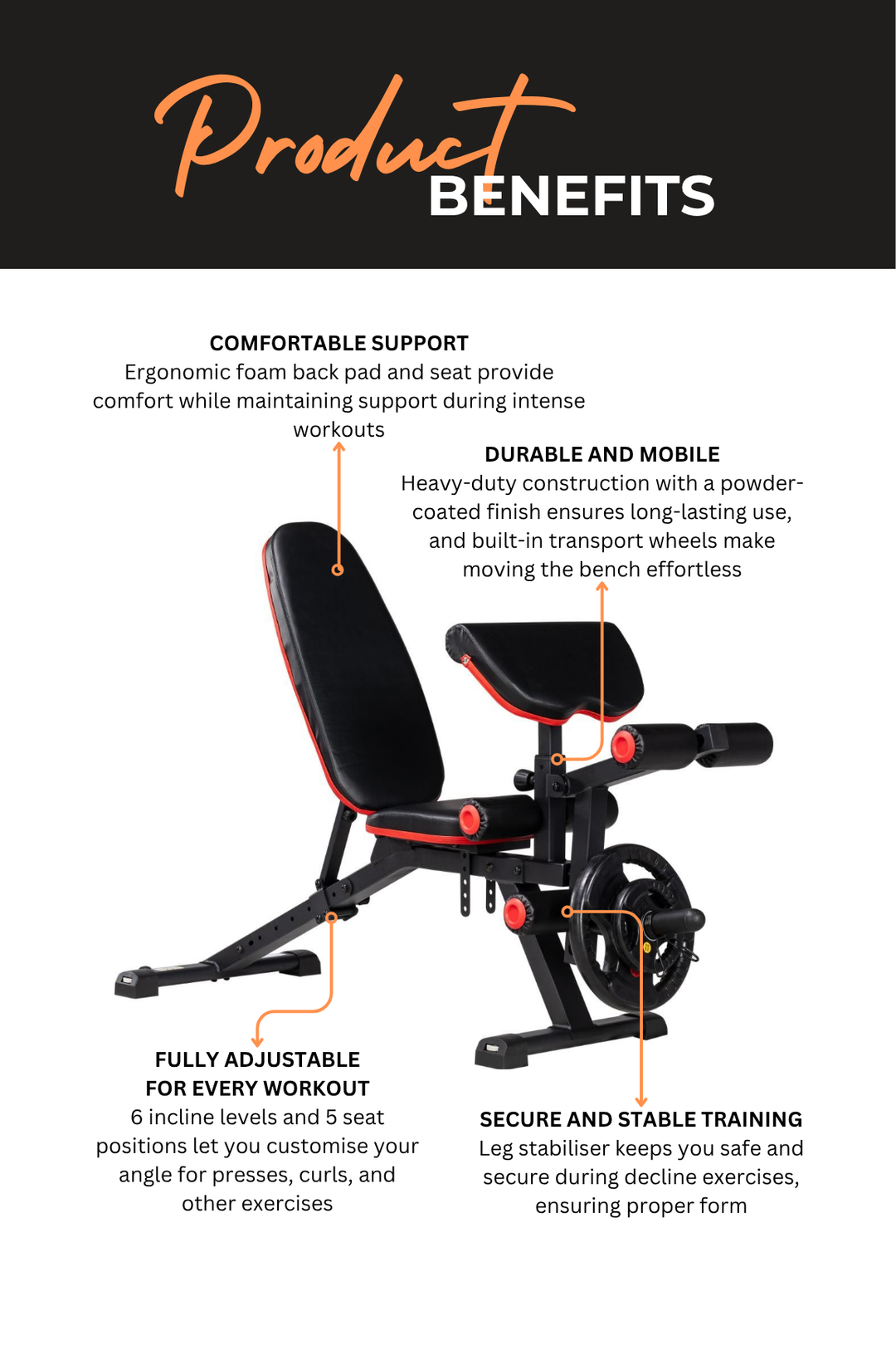 Body Iron Deluxe Leg/Preacher Curl Utility FID Bench UB250