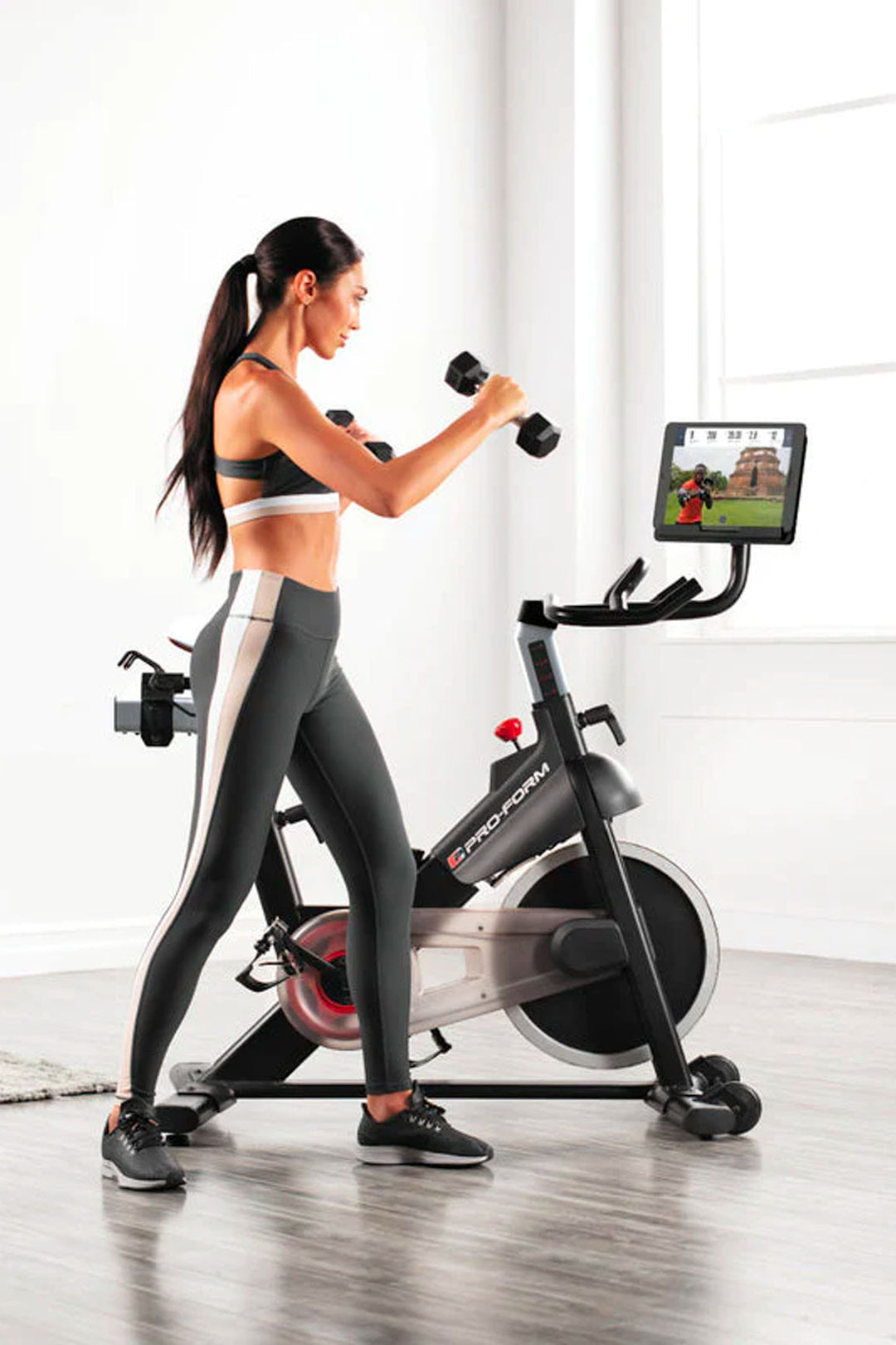 Carbon Cx Reviews On Proform Bike Exercise Bike Pfex63919 Carbon