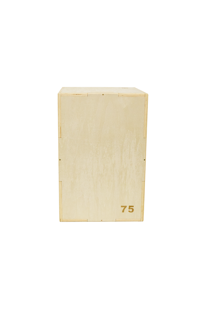 Body Iron Rising Pro Commercial Wooden Plyometric Box Jump 20/24/30 Inch