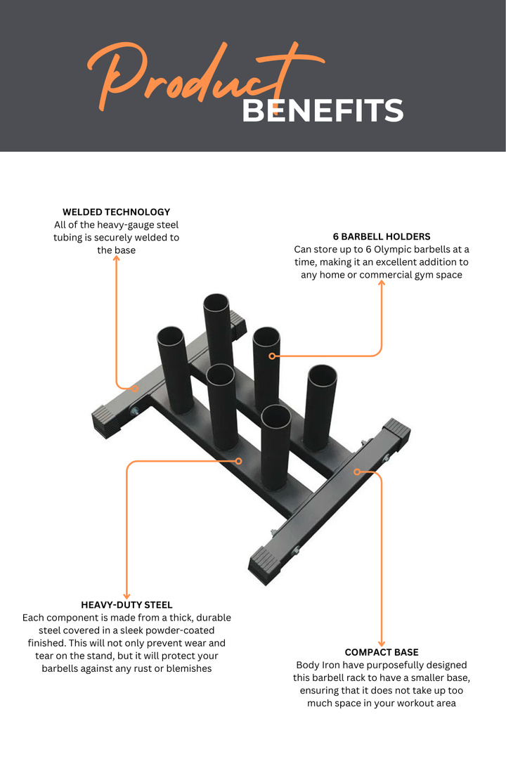 Body Iron Vertical Barbell Rack