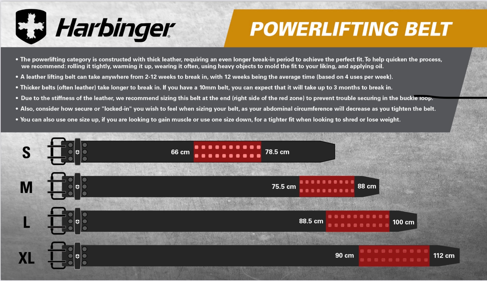 Harbinger Powerlifting-Gürtel – 10 Mm Leder, IPF-wettkampflegal – Für Kreuzheben & Kniebeugen