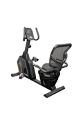 BodyIron® Recumbent Bike TXM450