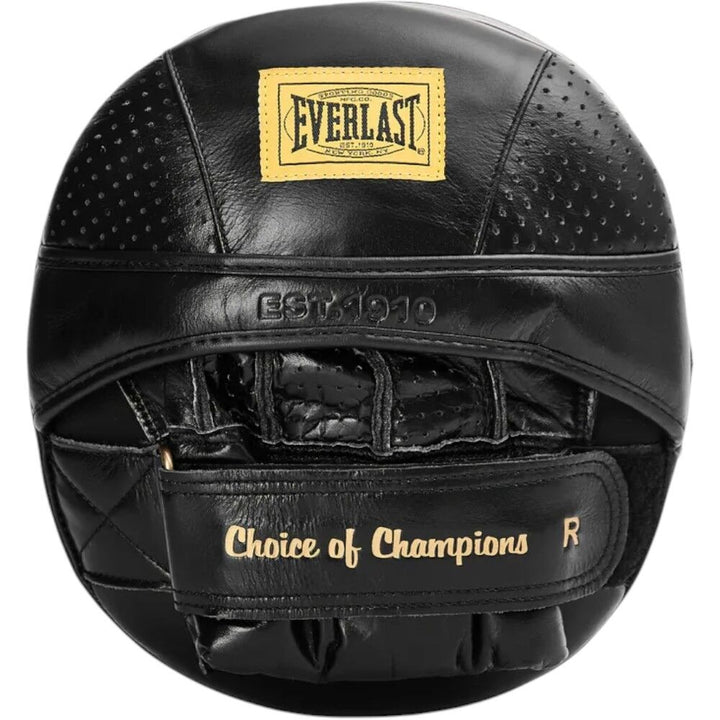 Everlast 1910 PRO AIRCORE FOCUS MITTS