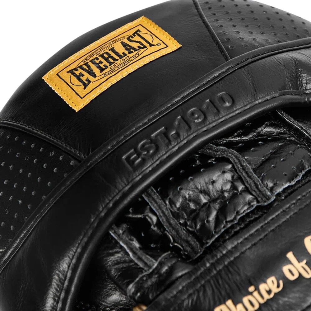 Everlast 1910 PRO AIRCORE FOCUS MITTS