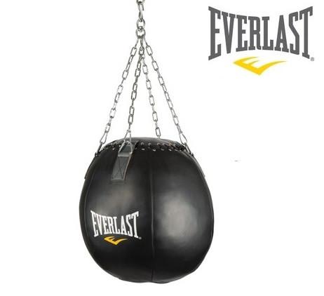 Everlast Wrecking Ball
