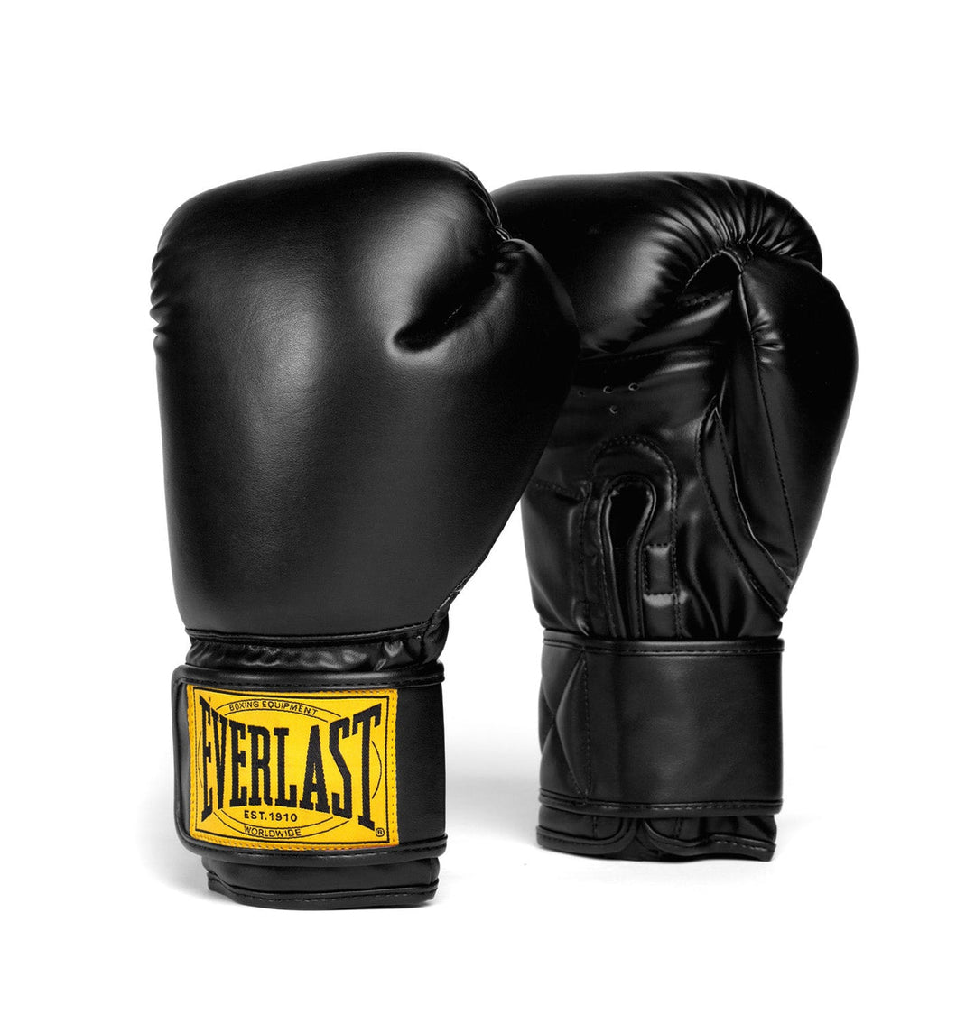 Everlast 1910 Boxing Gloves and Focus Mitts Combo