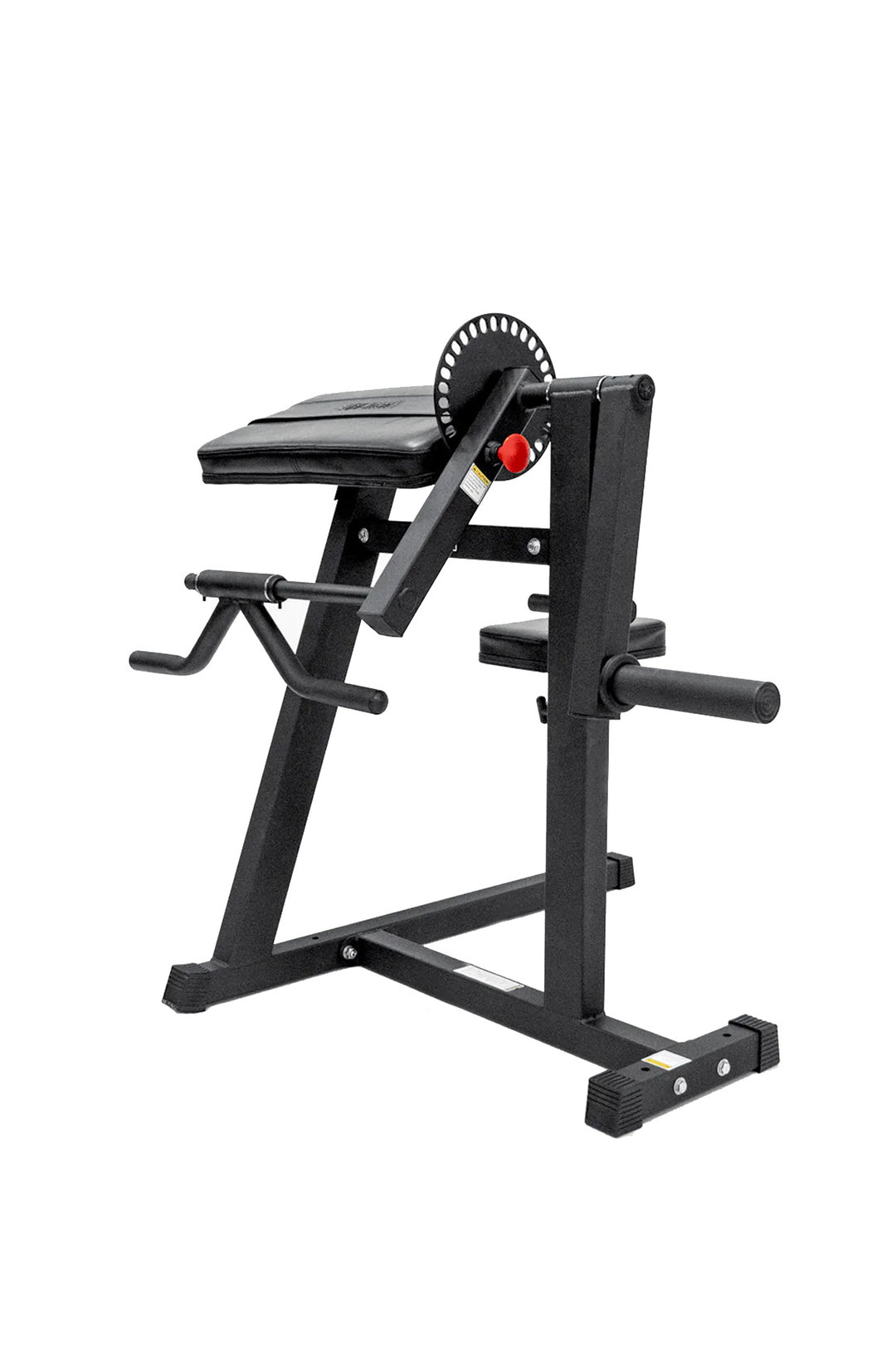 Body Iron Bicep Curl Triceps Extension Strength Machine