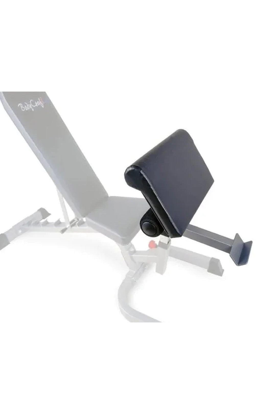 preacher pad attachment secured to weight bench 