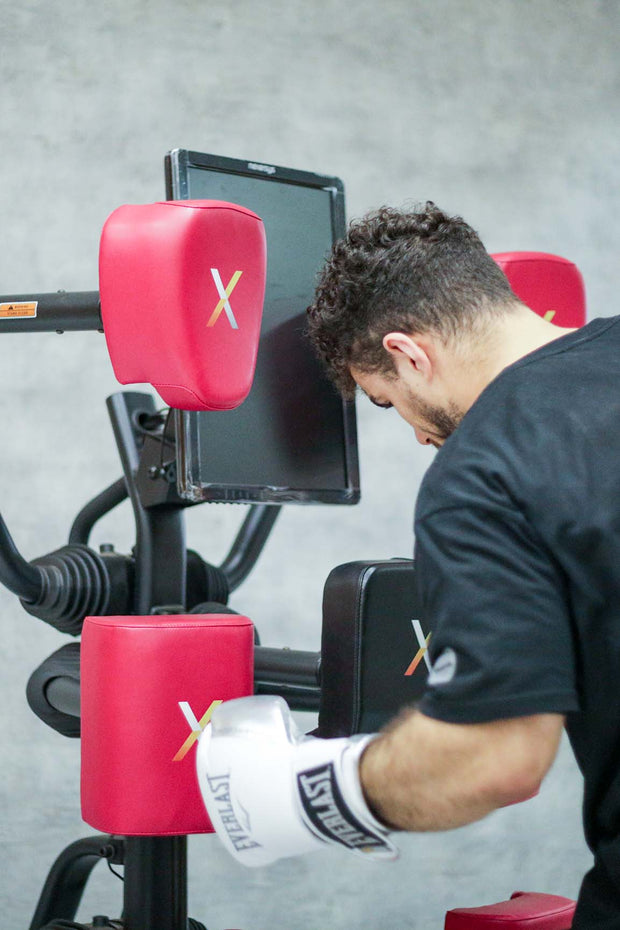 Hi-Tech Punching Equipment : Nexersys Boxing System